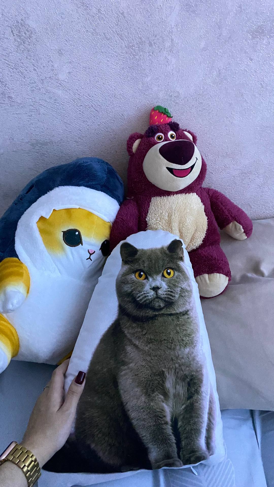 Фотография покупателя товара Подушка декоративная Этель «Кот» 33×40 см, велюр - Фото 5