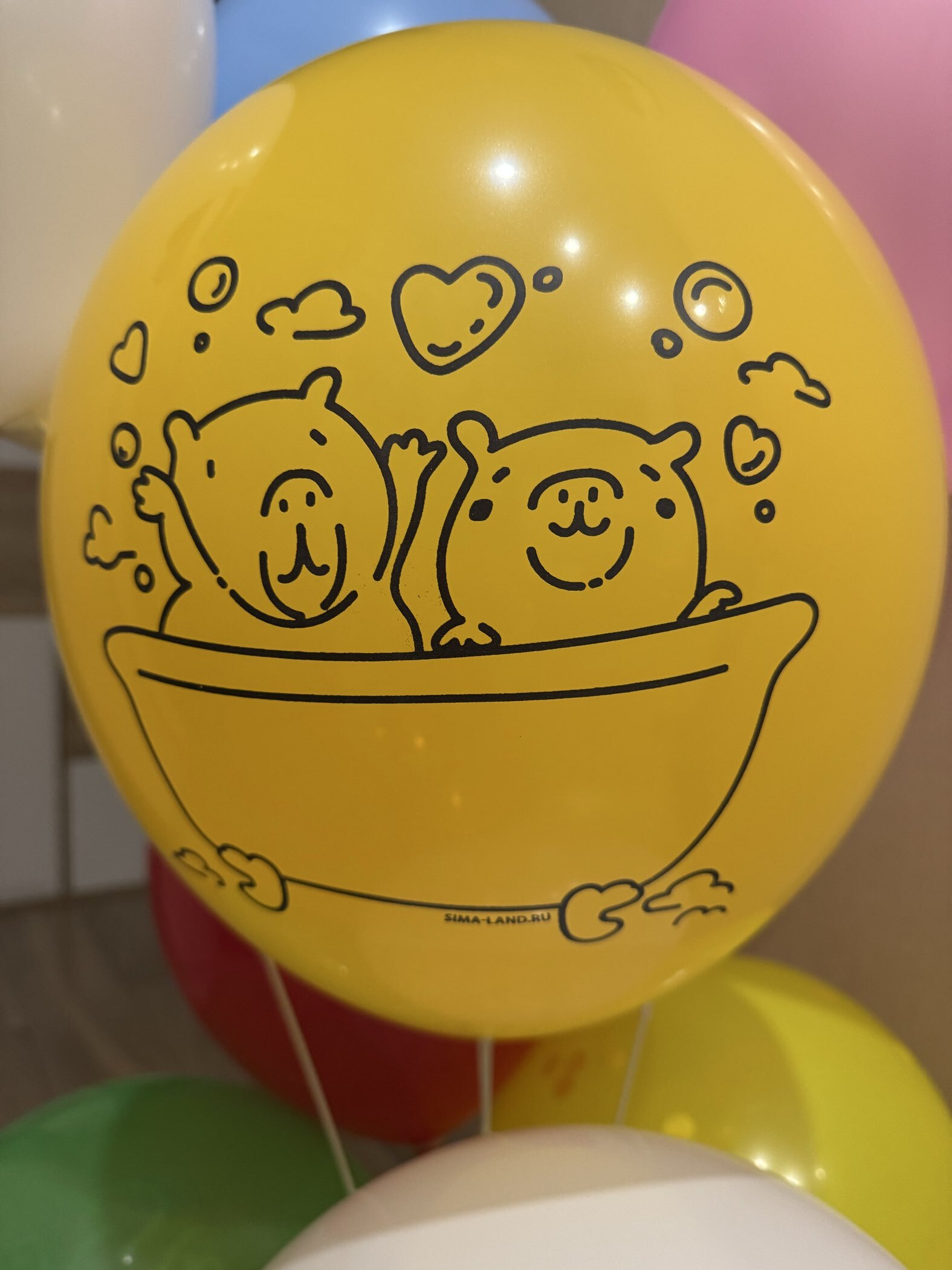 Фотография покупателя товара Воздушные шары латексные 12" «Я без тебя, как капибара без воды», 25 шт. - Фото 2