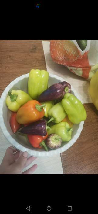 Фотография покупателя товара Семена Перец сладкий "Сиреневый Блеск", 0,1 г - Фото 3