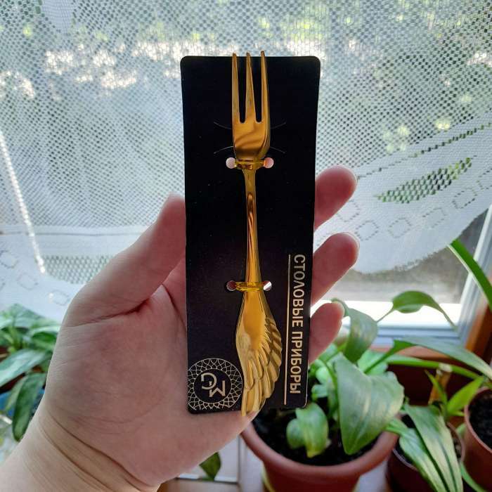 Фотография покупателя товара Вилка десертная Magistro Wings, длина 14 см, нержавеющая сталь, серебристая - Фото 4