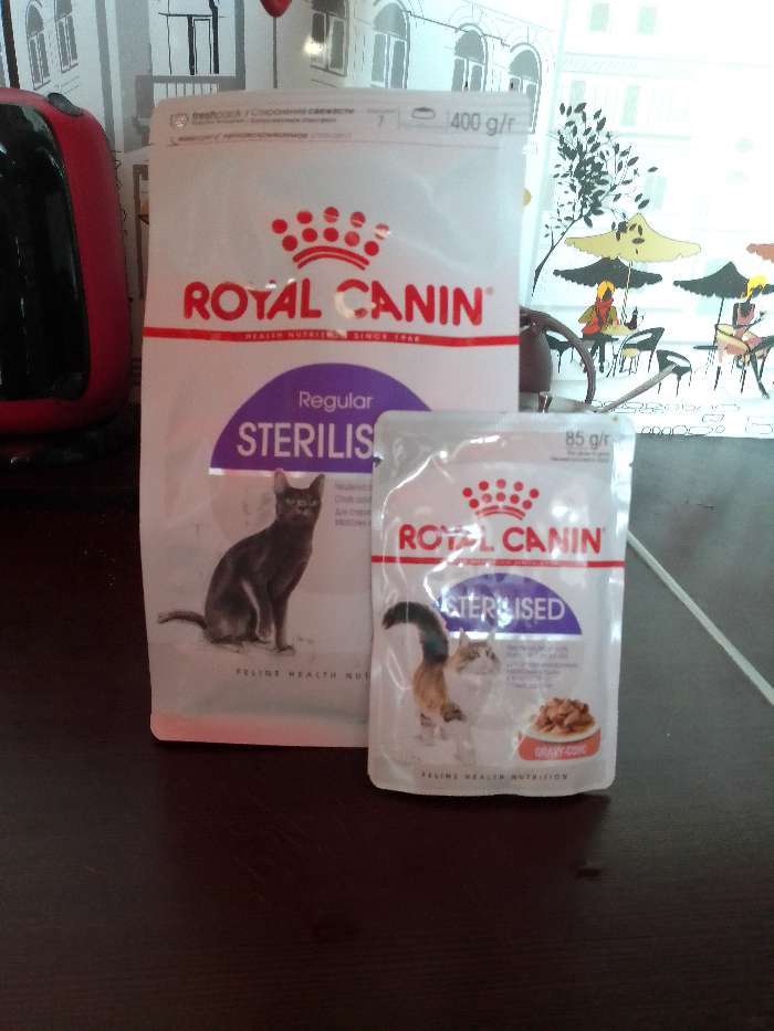 Фотография покупателя товара Сухой корм RC Sterilised 37 для стерилизованных кошек, 4 кг - Фото 3