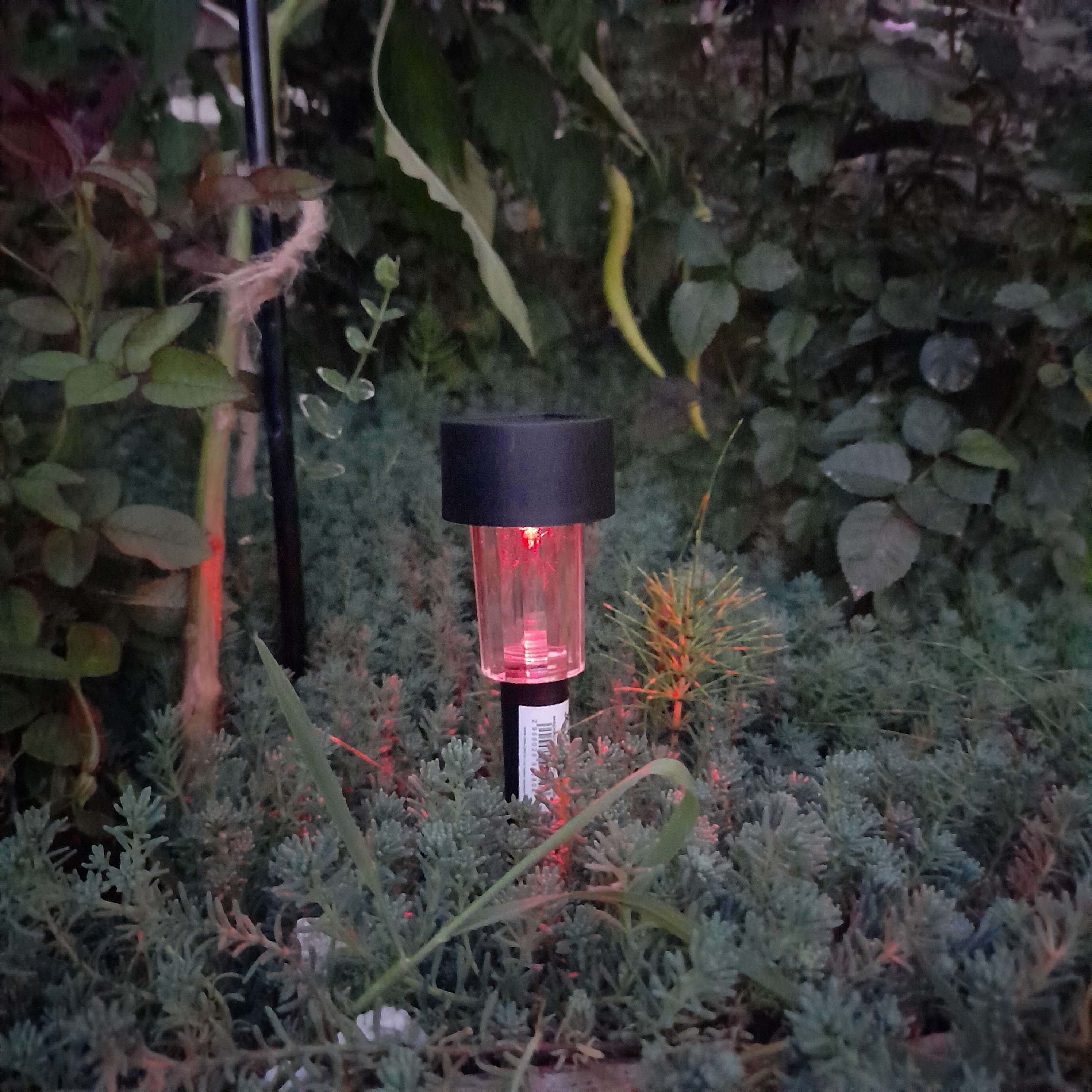 Фотография покупателя товара Садовый светильник на солнечной батарее «Цилиндр», 4.5 × 30 × 4.5 см, 1 LED, свечение мульти (RGB) - Фото 26