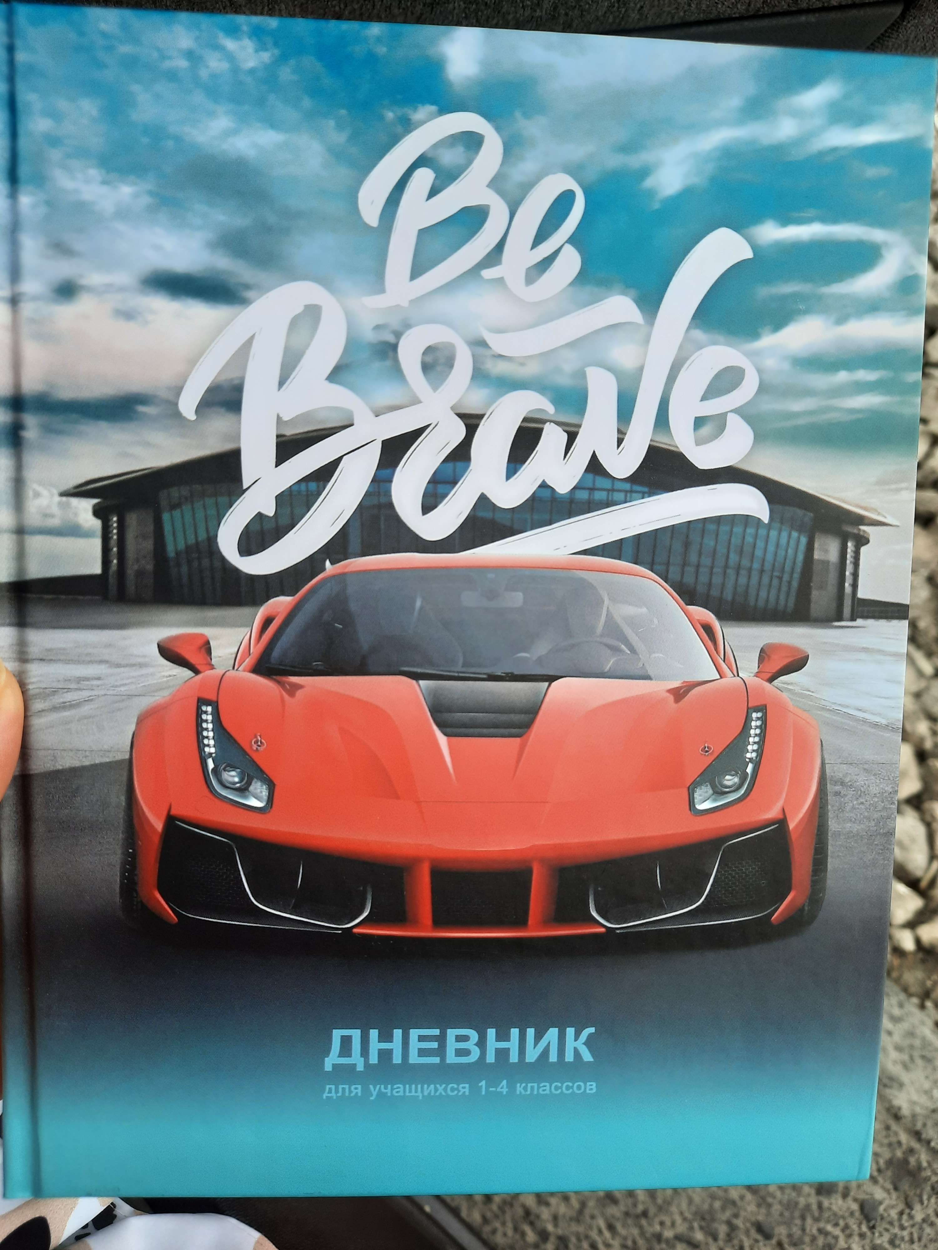 Фотография покупателя товара Дневник для 1-4 классов "Мальчики", твёрдая обложка, матовая ламинация, 48 листов, МИКС - Фото 2