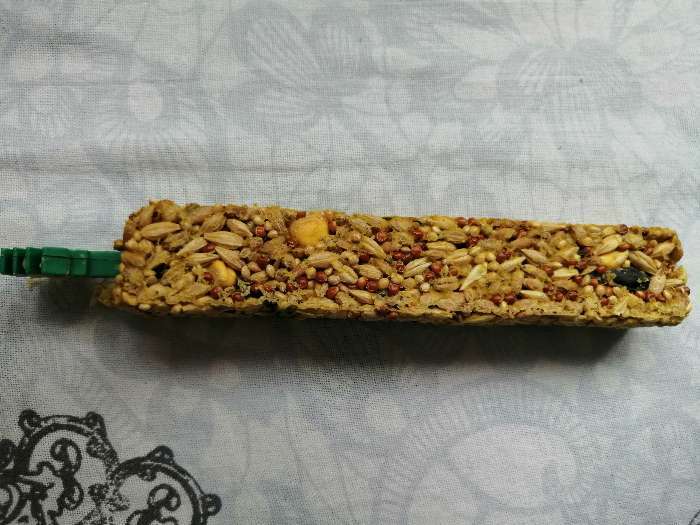Фотография покупателя товара Зерновые палочки "Пижон" для грызунов, с овощами, 2 шт, 106 г