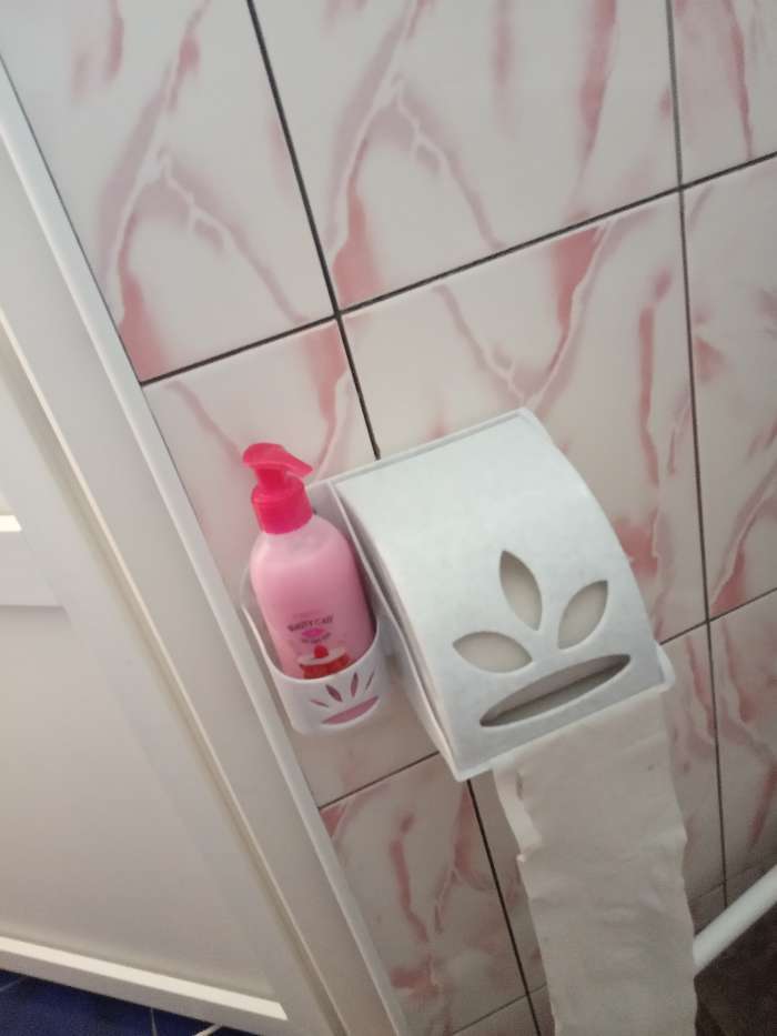 Фотография покупателя товара Держатель для туалетной бумаги и освежителя воздуха, цвет МИКС - Фото 13