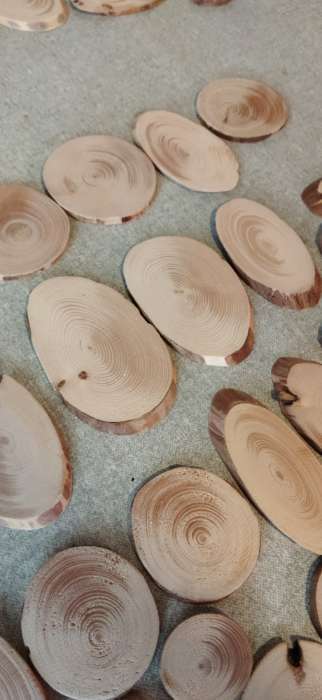 Фотография покупателя товара Набор из спилов дерева «Сосновый», набор 40 шт., 4 вида спилов - Фото 6