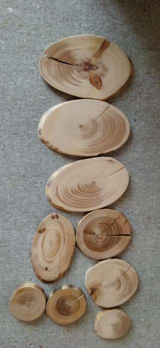 Фотография покупателя товара Набор из спилов дерева «Сосновый», набор 40 шт., 4 вида спилов - Фото 5