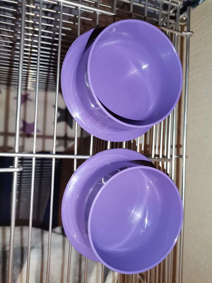 Фотография покупателя товара Миска для грызунов 120  мл, фиолетовый