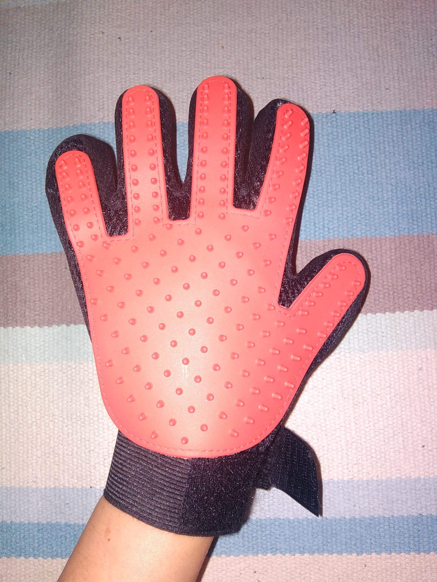 Фотография покупателя товара Перчатка - щетка для шерсти на правую руку с удлиненными зубчиками, красная - Фото 11