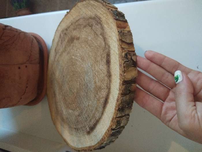 Фотография покупателя товара Спил вяза, шлифованный с одной стороны, диаметр 18-20 см