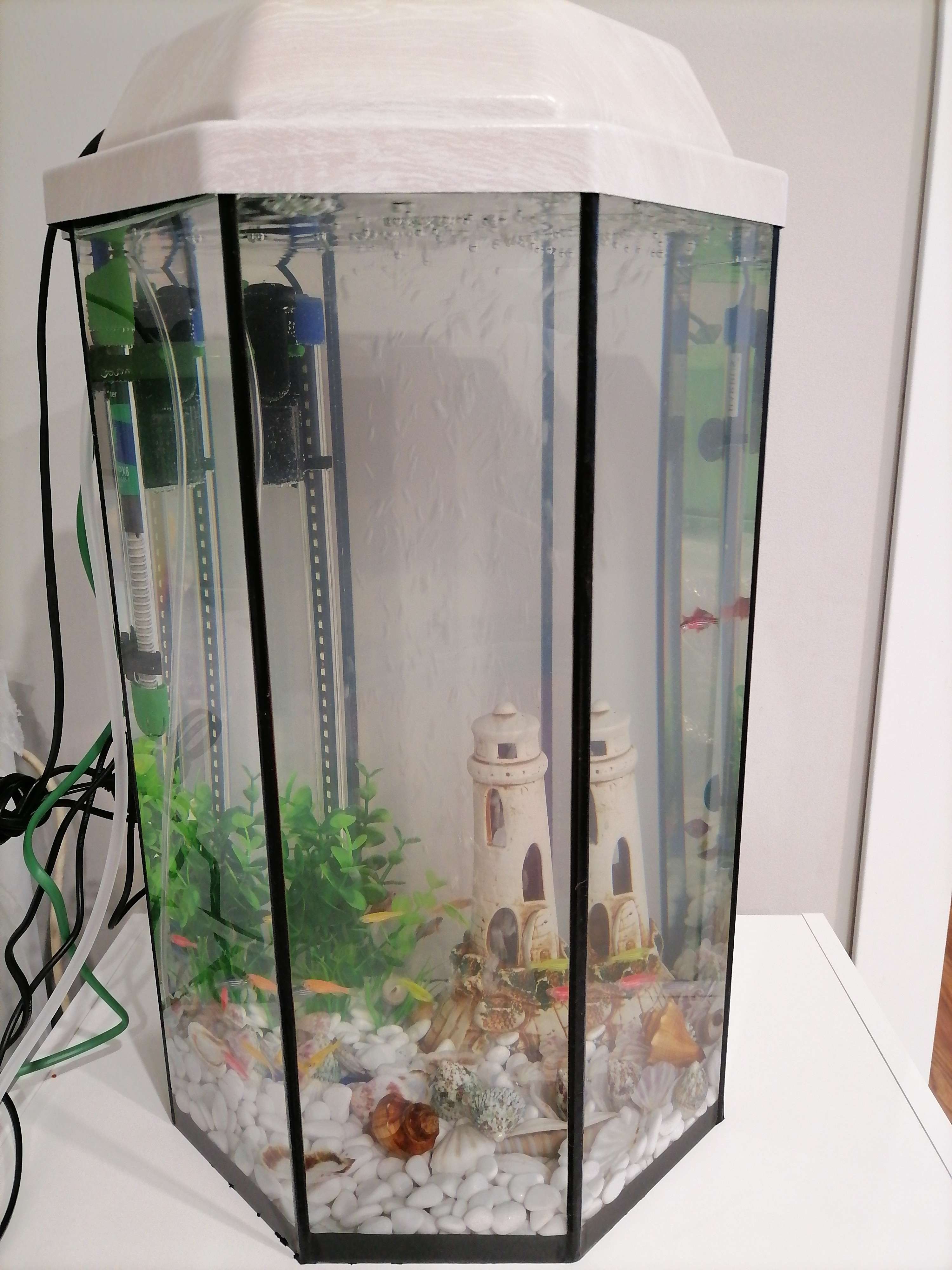 Фотография покупателя товара Аквариум восьмигранный с крышкой, 32 литра, 29 х 29 х 45 см, венге - Фото 1