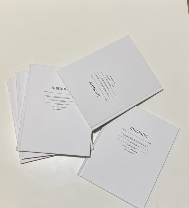 Фотография покупателя товара Дневник универсальный для 1-11 классов "Белый классический", твёрдая обложка, матовая ламинация, 40 листов - Фото 3