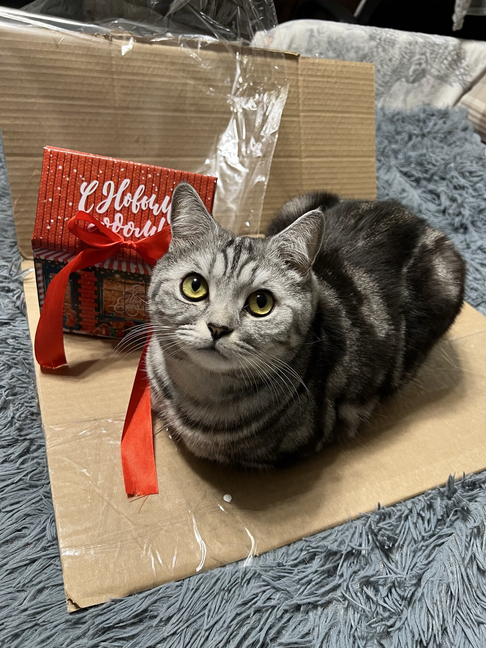 Фотография покупателя товара Коробка подарочная новогодняя складная « Городская жизнь », 15×18×10 см - Фото 3