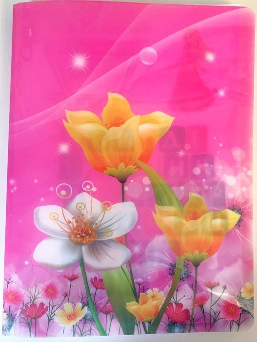 Фотография покупателя товара Папка с 30 вкладышами Calligrata "Цветы" А4, пластик, 400 мкм, МИКС - Фото 2