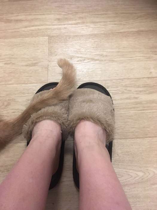 Фотография покупателя товара Набор подарочный Этель «Новый год: Hello winter» полотенце 30×60 см и аксессуары - Фото 2