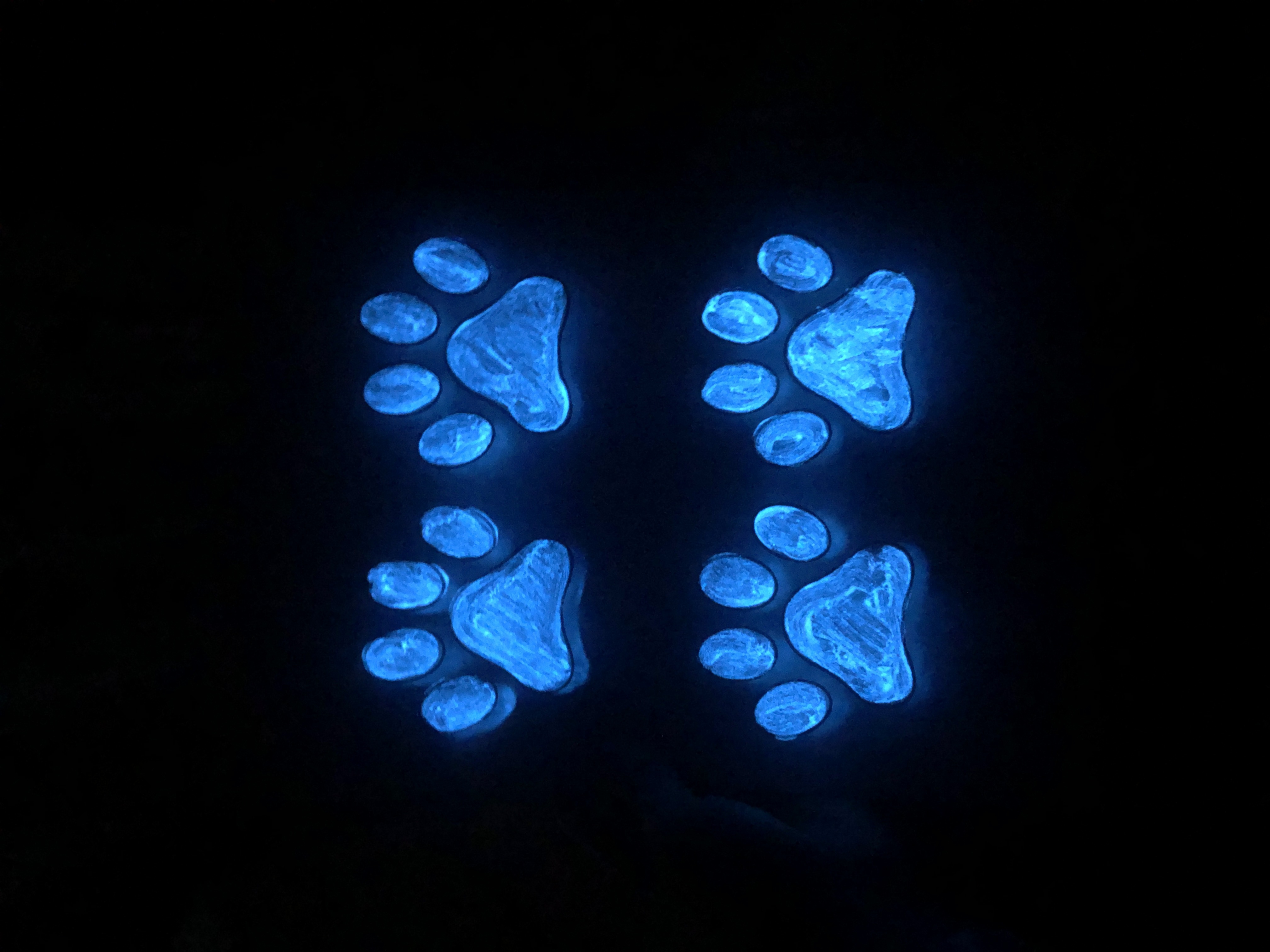 Фотография покупателя товара Краска акриловая люминесцентная (светящаяся в темноте), LUXART Lumi, 20 мл, белый, небесно-голубое свечение (L9V20) - Фото 2