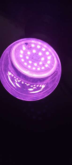 Фотография покупателя товара Фитолампа для растений Luazon Lighting, светодиодная, А60, E27, 12 Вт, IP44, 220 В, 270°, мультиспектральная - Фото 5