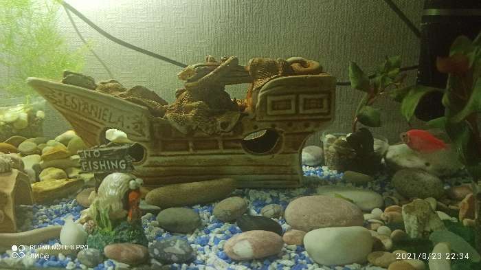 Фотография покупателя товара Декорация для аквариума "Корабль", коричневая, 8х25х13 см - Фото 2