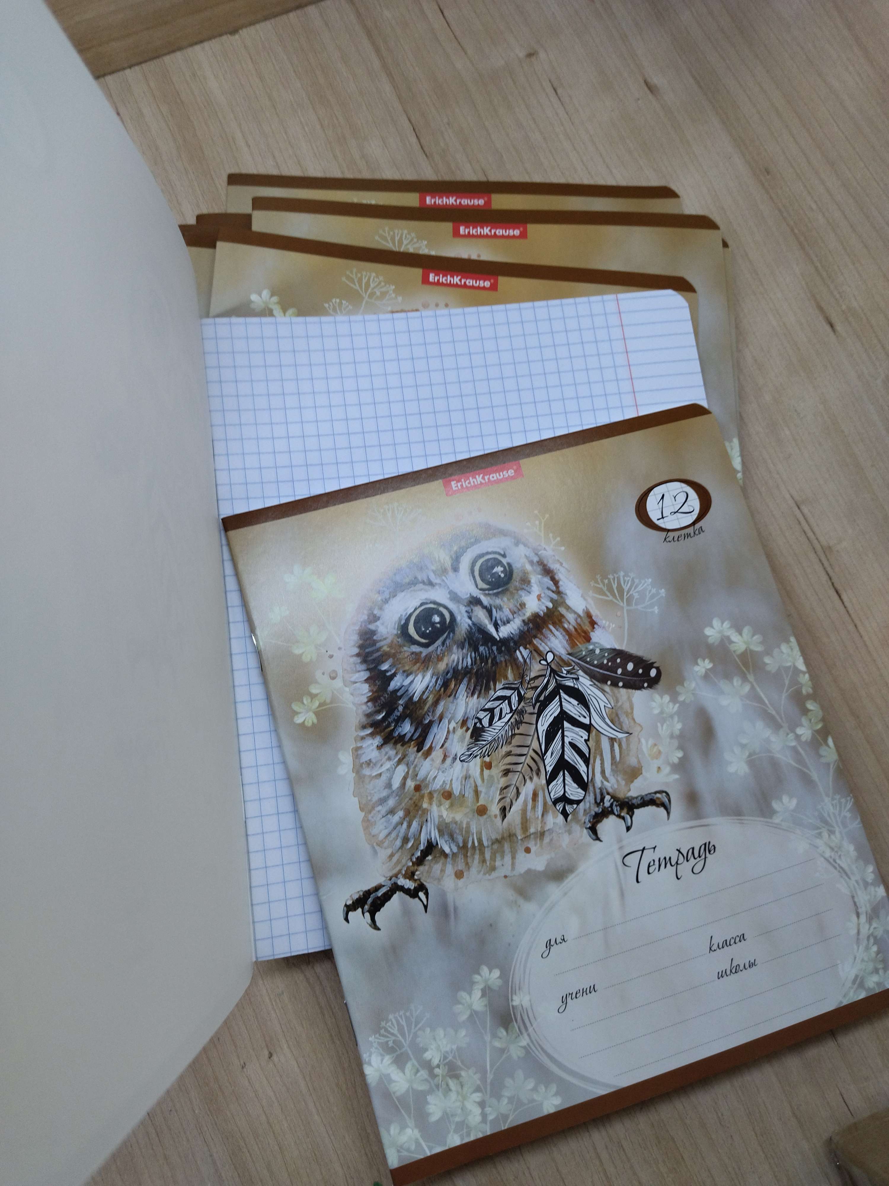 Фотография покупателя товара Тетрадь 12 листов в клетку ErichKrause "Dream Owl", обложка мелованный картон, блок офсет - Фото 1