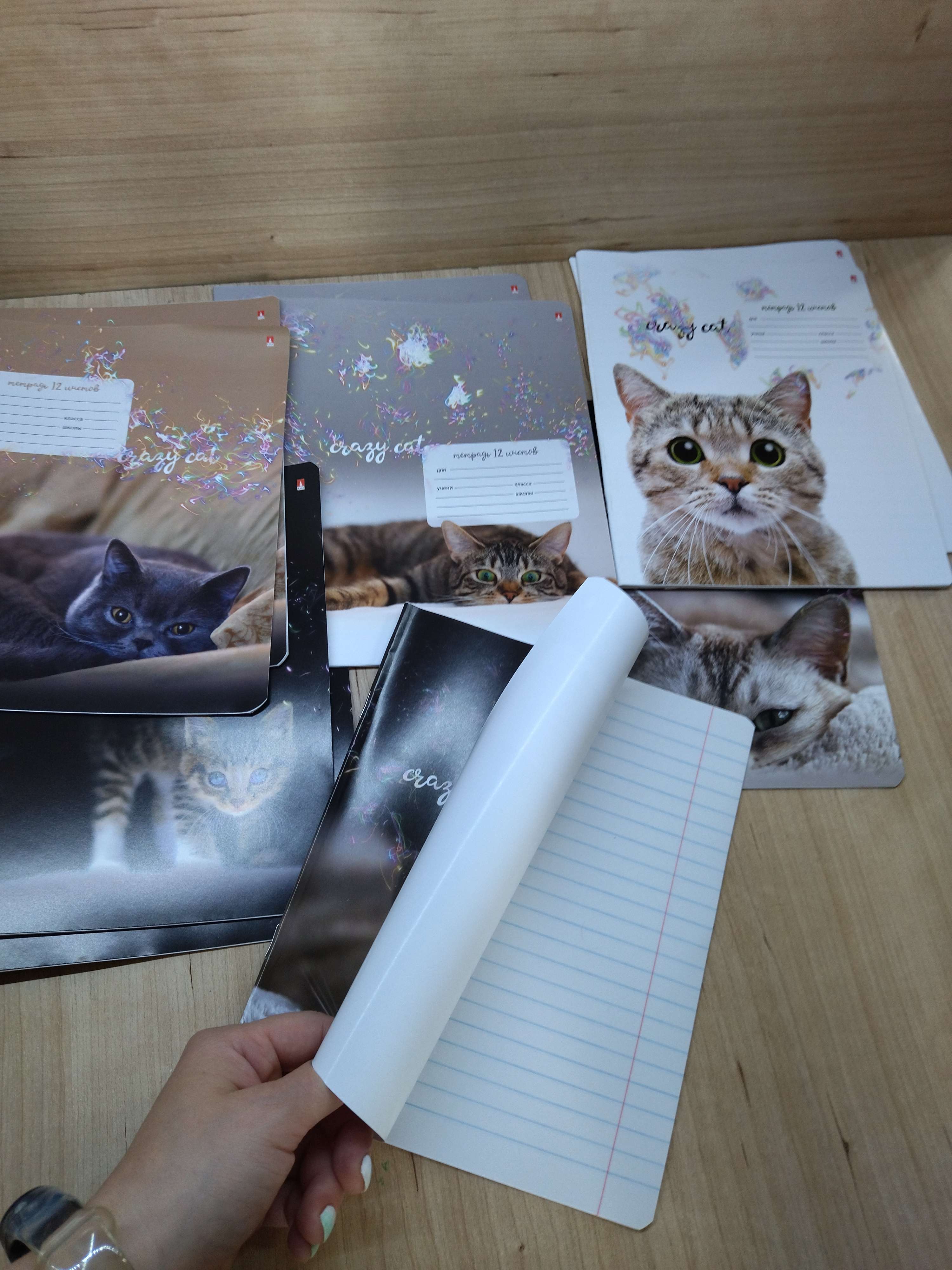 Фотография покупателя товара Тетрадь 12 листов в линию «Удивительные котята», обложка мелованная бумага, ВД-лак, МИКС - Фото 1