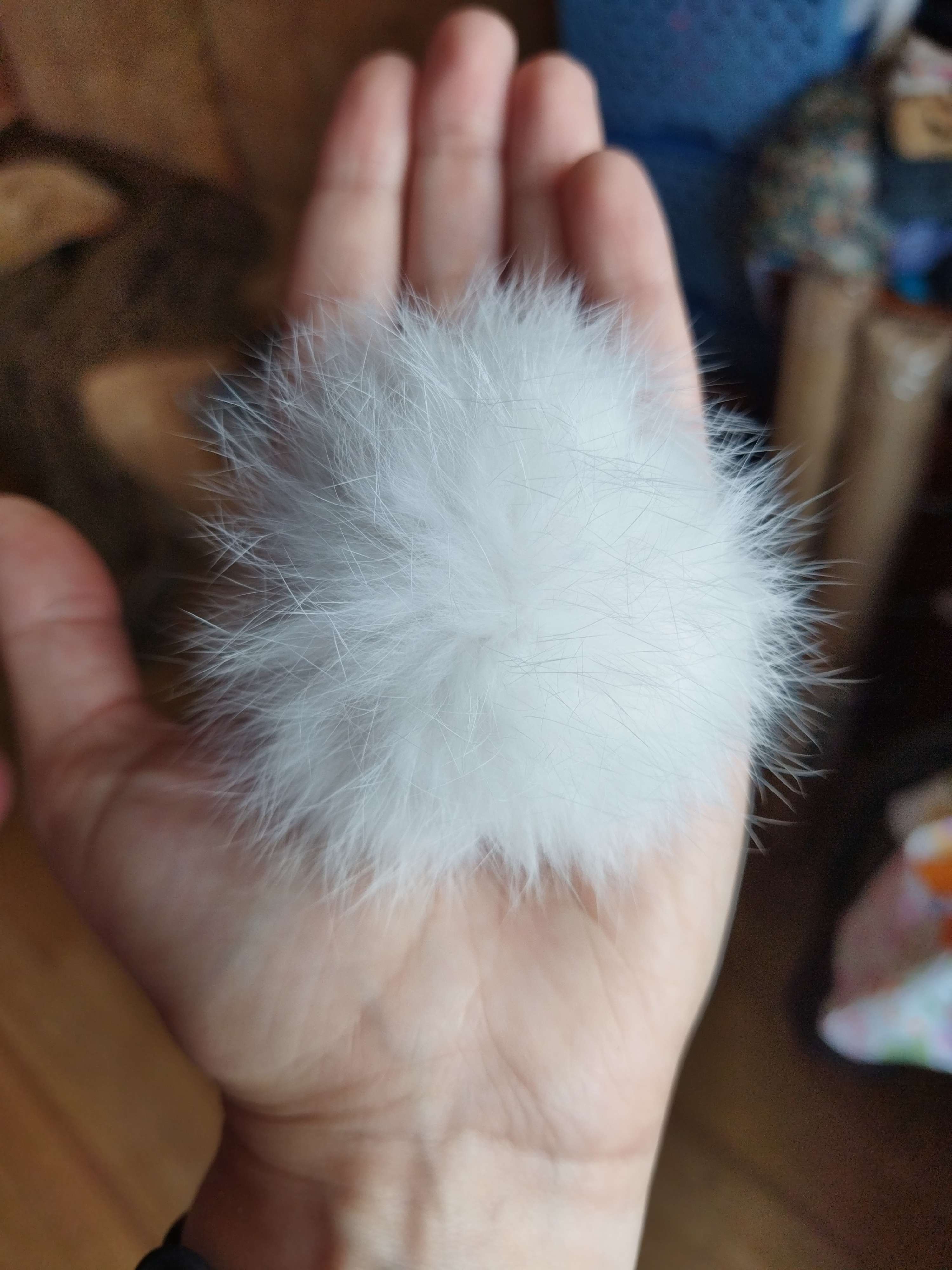 Фотография покупателя товара Помпон из натурального меха зайца, размер 1 шт: 8 см, цвет белый - Фото 2