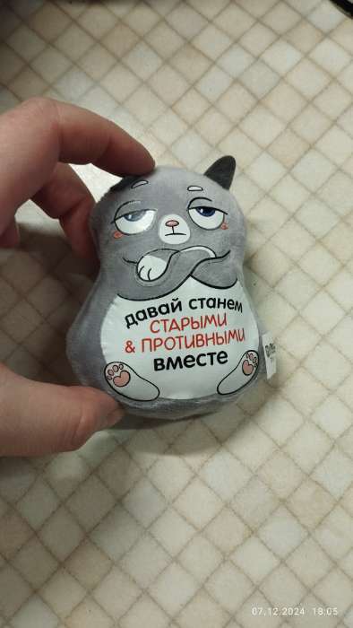 Фотография покупателя товара Магнит «Давай станем старыми и противными вместе», кот - Фото 1