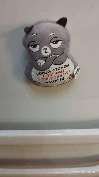 Фотография покупателя товара Магнит «Давай станем старыми и противными вместе», кот - Фото 2