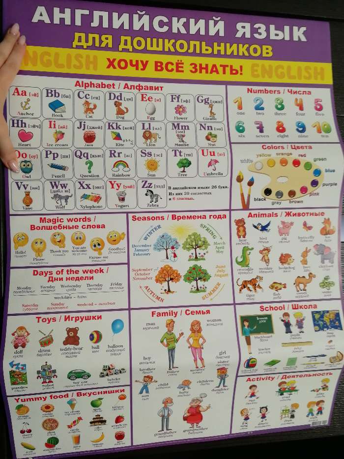 Фотография покупателя товара Плакат "Английский язык для дошкольников" фиолетовый фон, А2