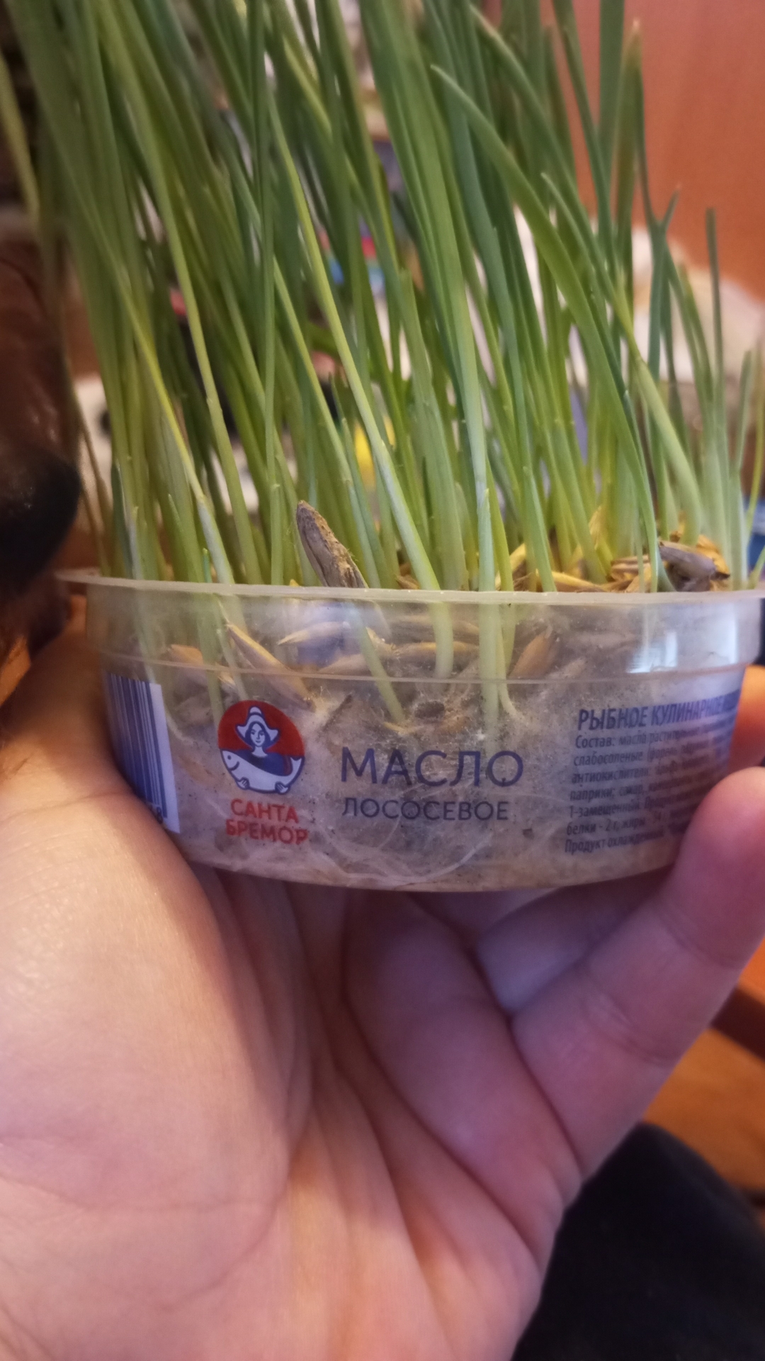 Фотография покупателя товара Семена Овес, Мой Выбор, 1 кг - Фото 2