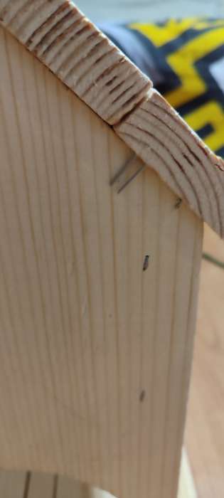 Фотография покупателя товара Скворечник для птиц, 40 × 19 × 19 см, Greengo - Фото 2