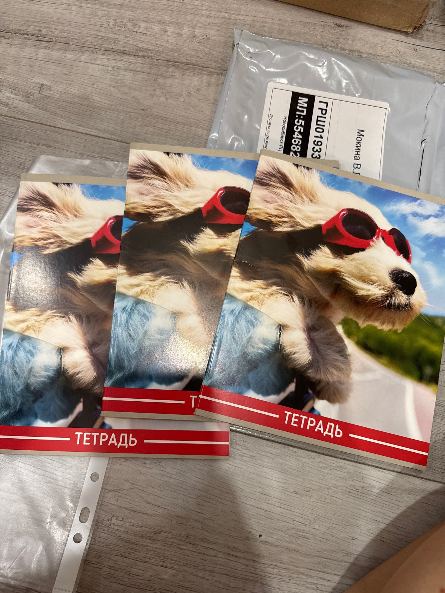 Фотография покупателя товара Тетрадь 36 листов в клетку, Calligrata «Щенки», МИКС - Фото 1