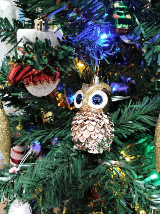 Фотография покупателя товара Ёлочные игрушки 4 шт. «Зимнее волшебство. Совушки» пластик, 7×4.5 см - Фото 5