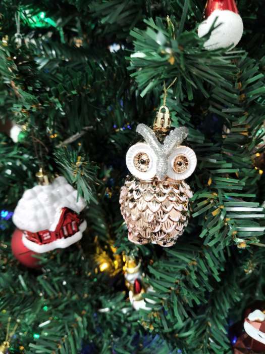 Фотография покупателя товара Ёлочные игрушки 4 шт. «Зимнее волшебство. Совушки» пластик, 7×4.5 см - Фото 4