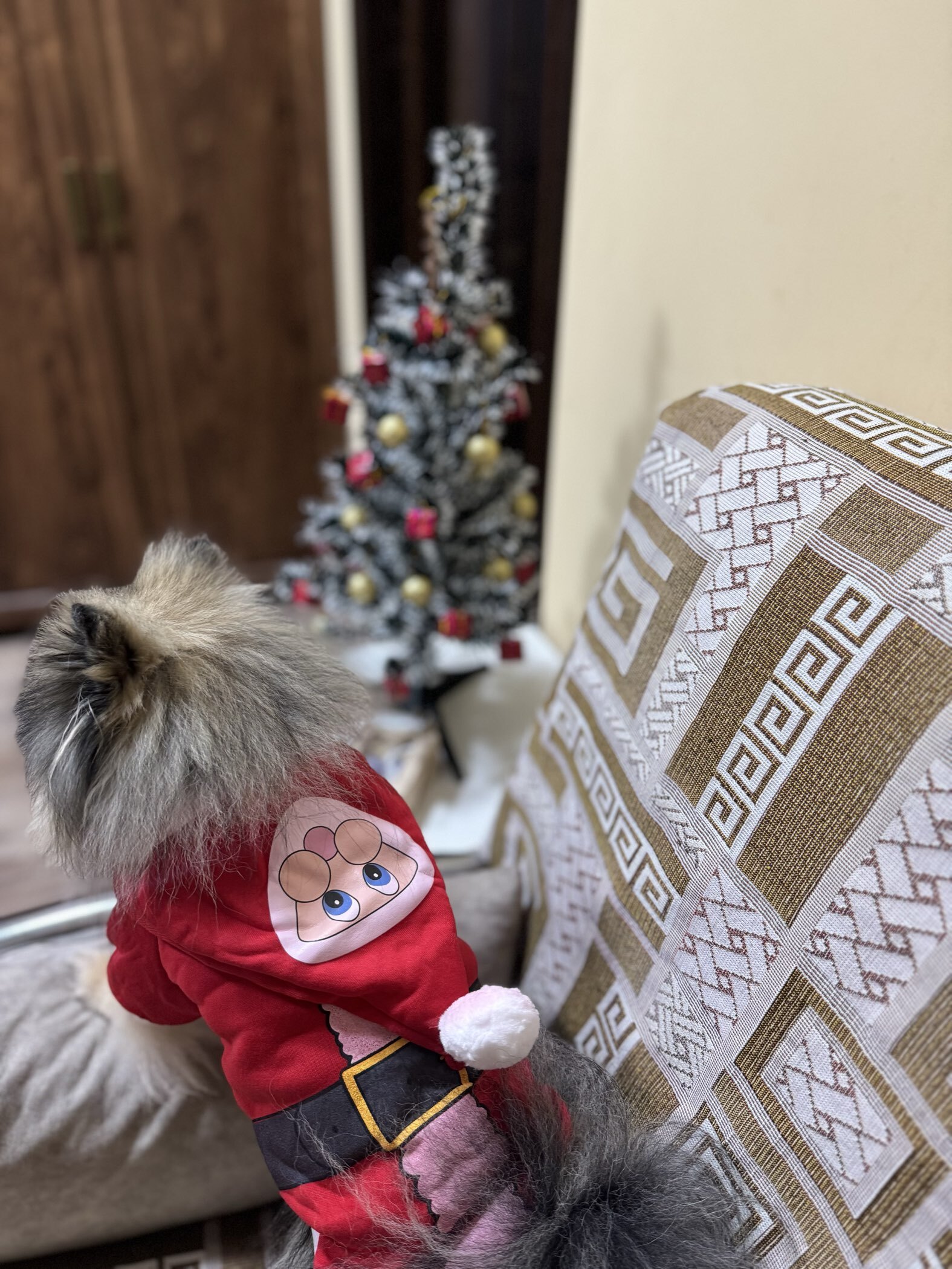 Фотография покупателя товара Толстовка для собак с колпаком Santa, M (ДС 30, ОГ 40 см) - Фото 3