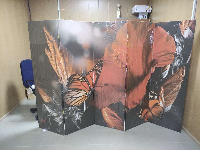 Фотография покупателя товара Ширма "Бабочка. Декор 1", двухсторонняя, 200 х 160 см - Фото 2