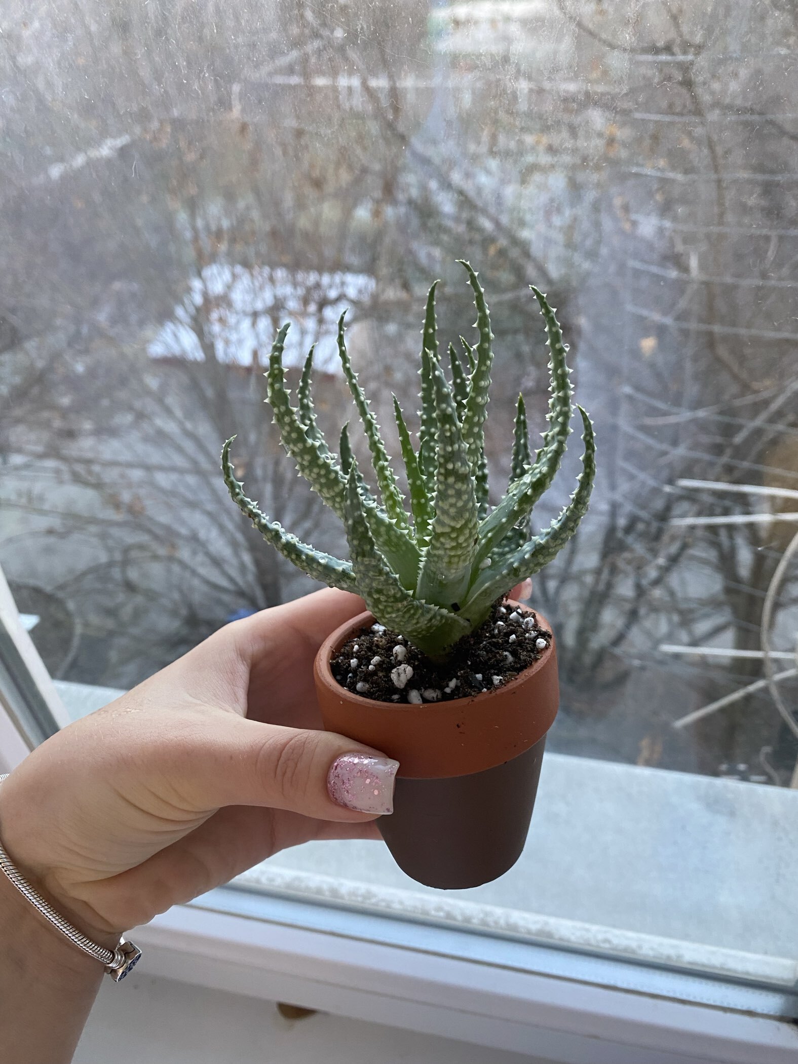 Фотография покупателя товара Горшок для цветов «Трапеция» керамический, 200 мл, 7×6.5 см, терракот - Фото 5