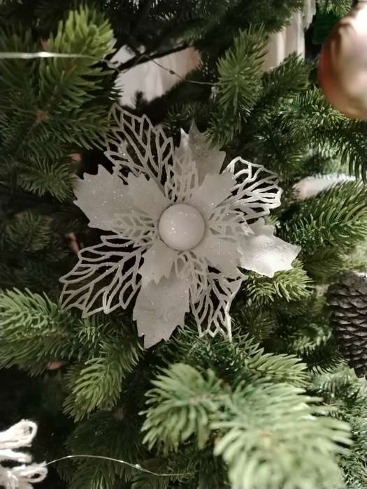 Фотография покупателя товара Ёлочные игрушки 2 шт. «Зимнее волшебство. Снежный цветок» пластик, 15 см, белый - Фото 1