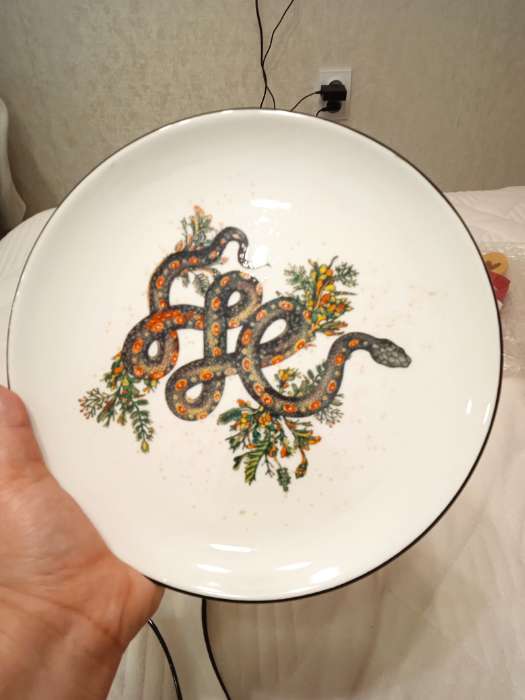 Фотография покупателя товара Тарелка Доляна «Василиск», 24×24×2.5 см - Фото 2