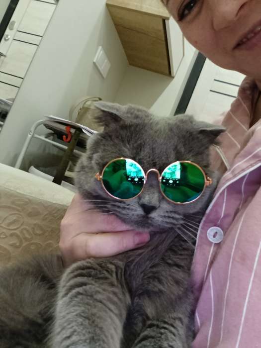 Фотография покупателя товара Очки для игрушек, цвет прозрачный - Фото 1