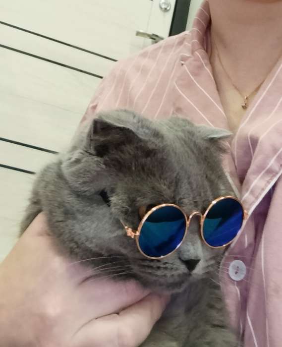 Фотография покупателя товара Очки для игрушек, цвет прозрачный - Фото 2