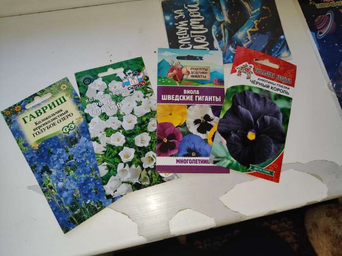 Фотография покупателя товара Семена цветов Виола «Шведские гиганты», 0.1 г, «Рецепты дедушки Никиты» - Фото 5