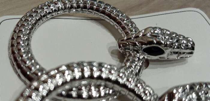 Фотография покупателя товара Серьги металл «Змея» кольцо соблазна, цвет чёрный в золоте - Фото 3