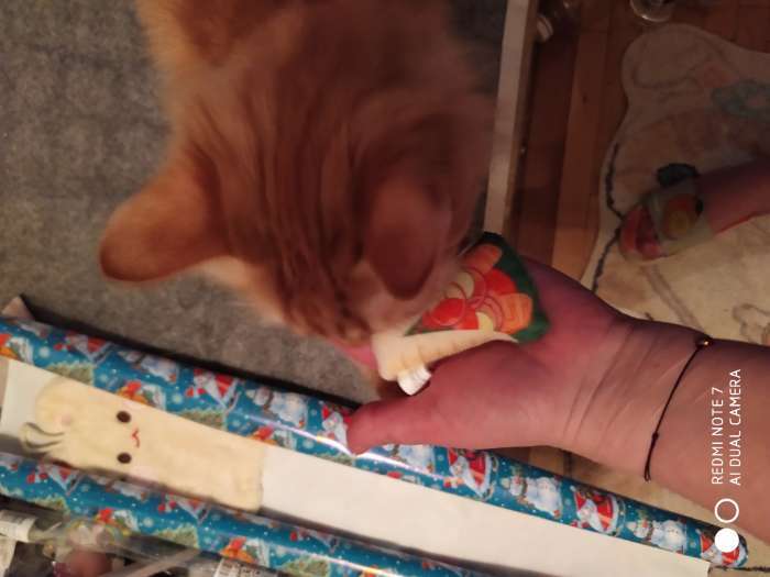 Фотография покупателя товара Игрушка для кошек с мятой «Пицца» из текстиля, 8,7х6,9 см - Фото 4