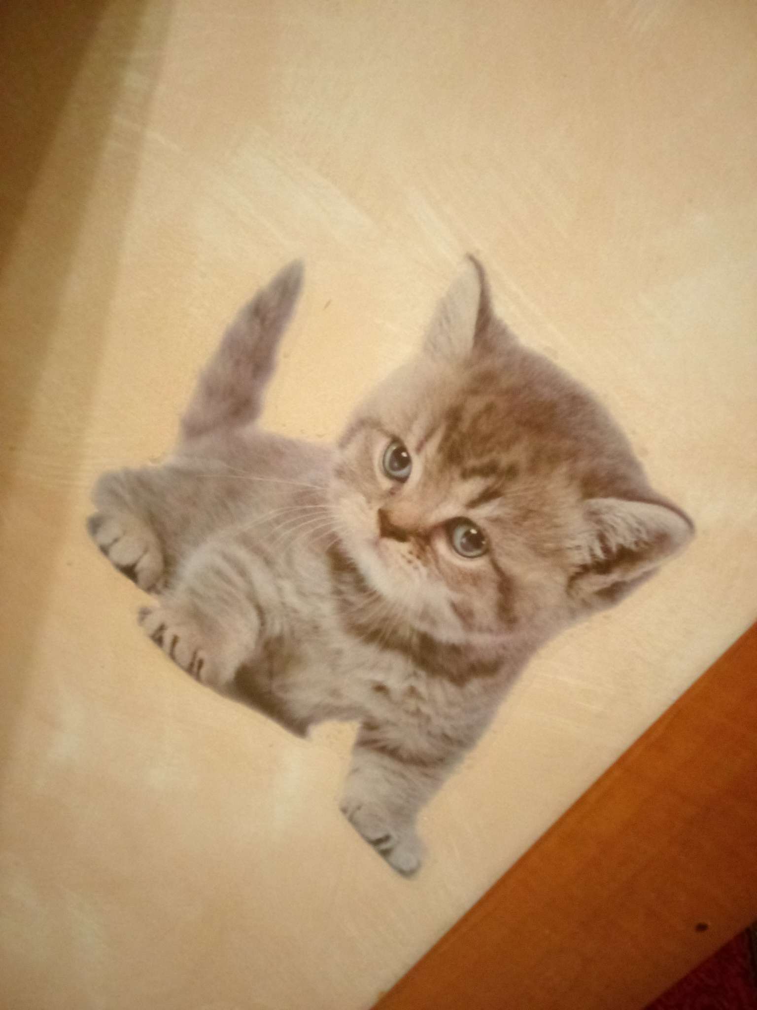 Фотография покупателя товара Интерьерная наклейка 3Д TAKE IT EASY «Домашние питомцы дружат», 29×21 см - Фото 6