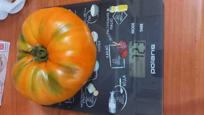 Фотография покупателя товара Семена Томат "Бизон оранжевый", 10 шт. - Фото 1