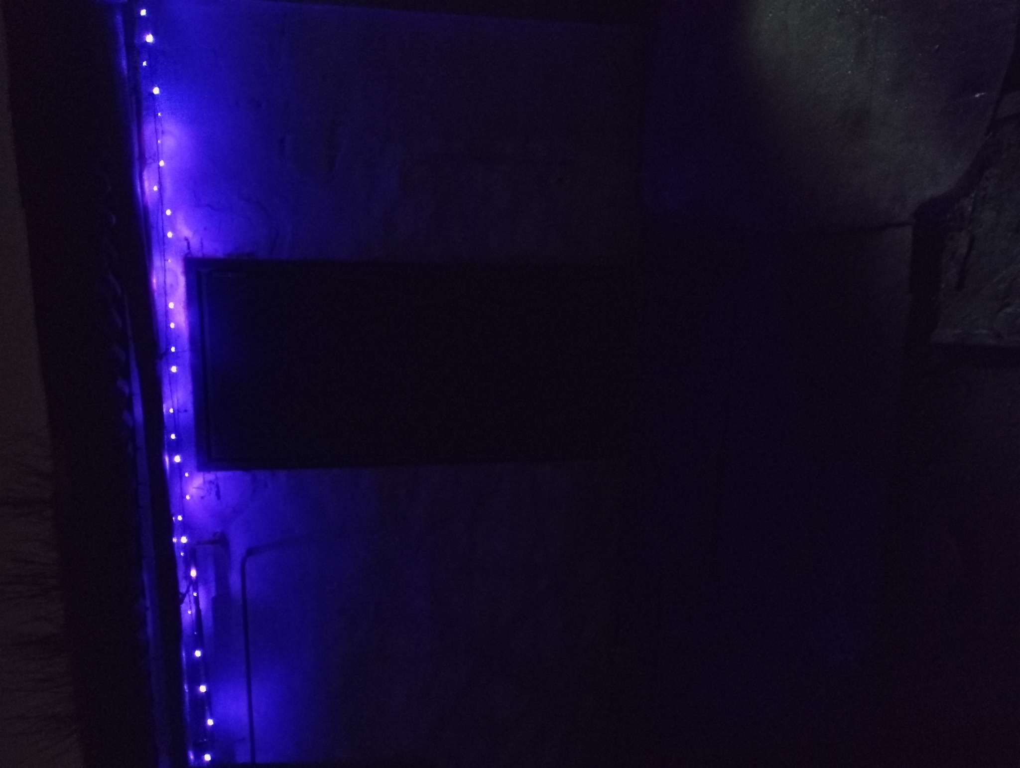 Фотография покупателя товара Гирлянда «Нить» 10 м, IP44, тёмная нить, 100 LED, свечение зелёное, 8 режимов, 220 В - Фото 2