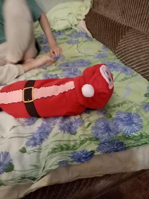 Фотография покупателя товара Толстовка для собак с колпаком Santa, M (ДС 30, ОГ 40 см) - Фото 6