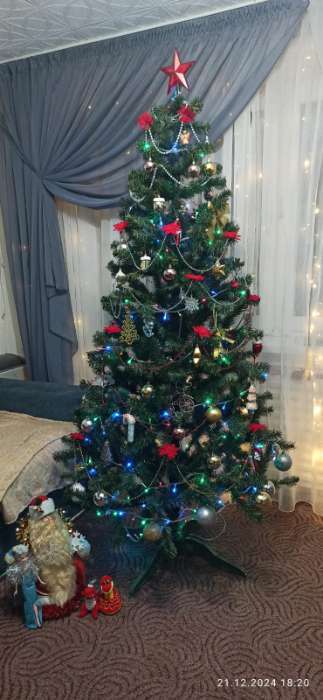 Фотография покупателя товара Ёлочные игрушки 6 шт. «Зимнее волшебство. Резной цветок» пластик, 7 см, красный - Фото 25