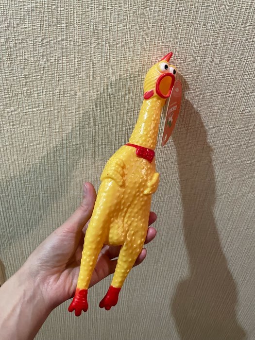 Фотография покупателя товара Игрушка пищащая "Задумчивая курица" для собак, 28 см, ярко-зелёная - Фото 14
