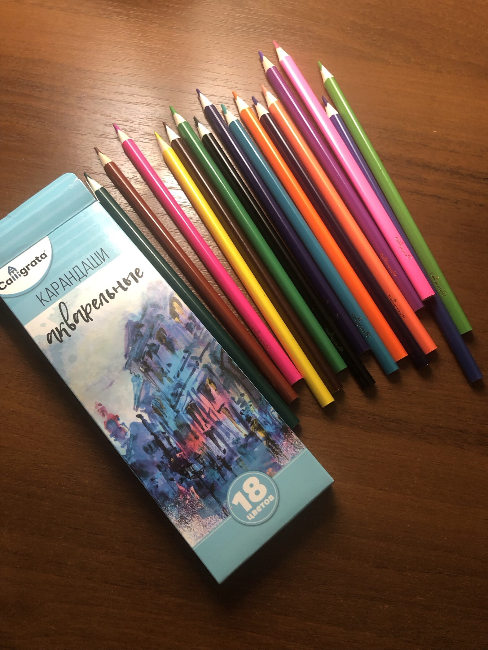 Фотография покупателя товара Карандаши Calligrata, цветные, акварельные, 24 цвета - Фото 6